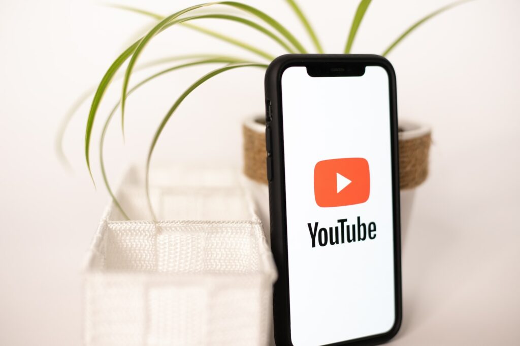 What Triggers YouTube's Algorithm ? Insights from Industry Experts - Understanding What Triggers YouTube's Algorithm